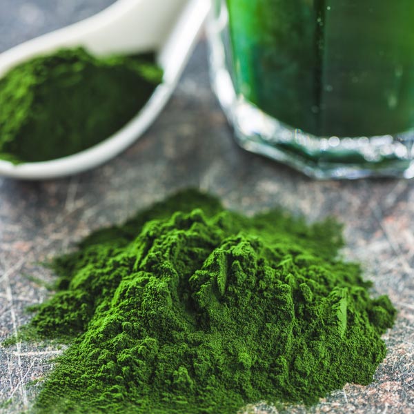 Seaweed Powder 100ml