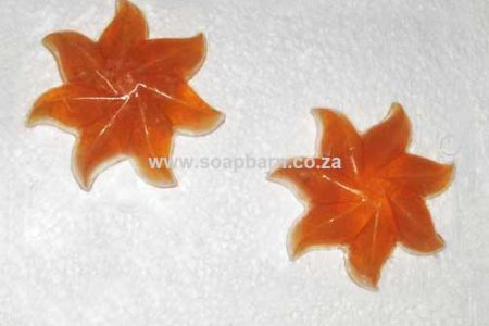 SB-04 Starfish Large 130g